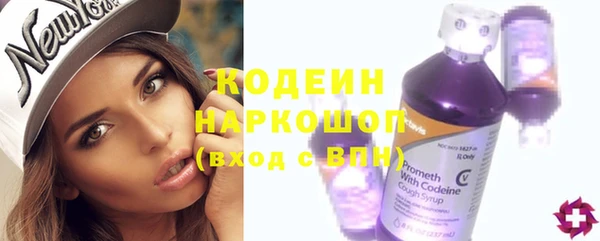 прущие грибы Верея