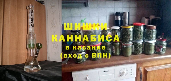 сатива Волосово