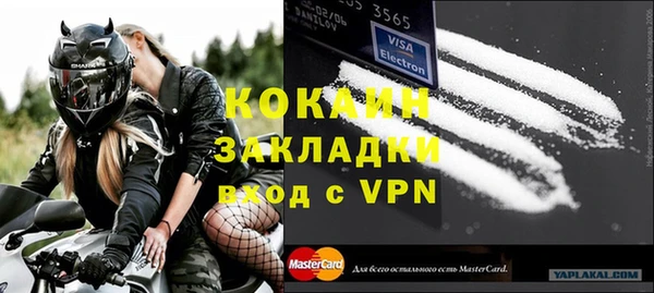 прущие грибы Верея