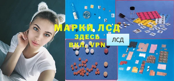 прущие грибы Верея